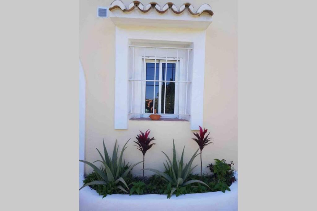 Casa Rustica Apartment Torremolinos Ngoại thất bức ảnh